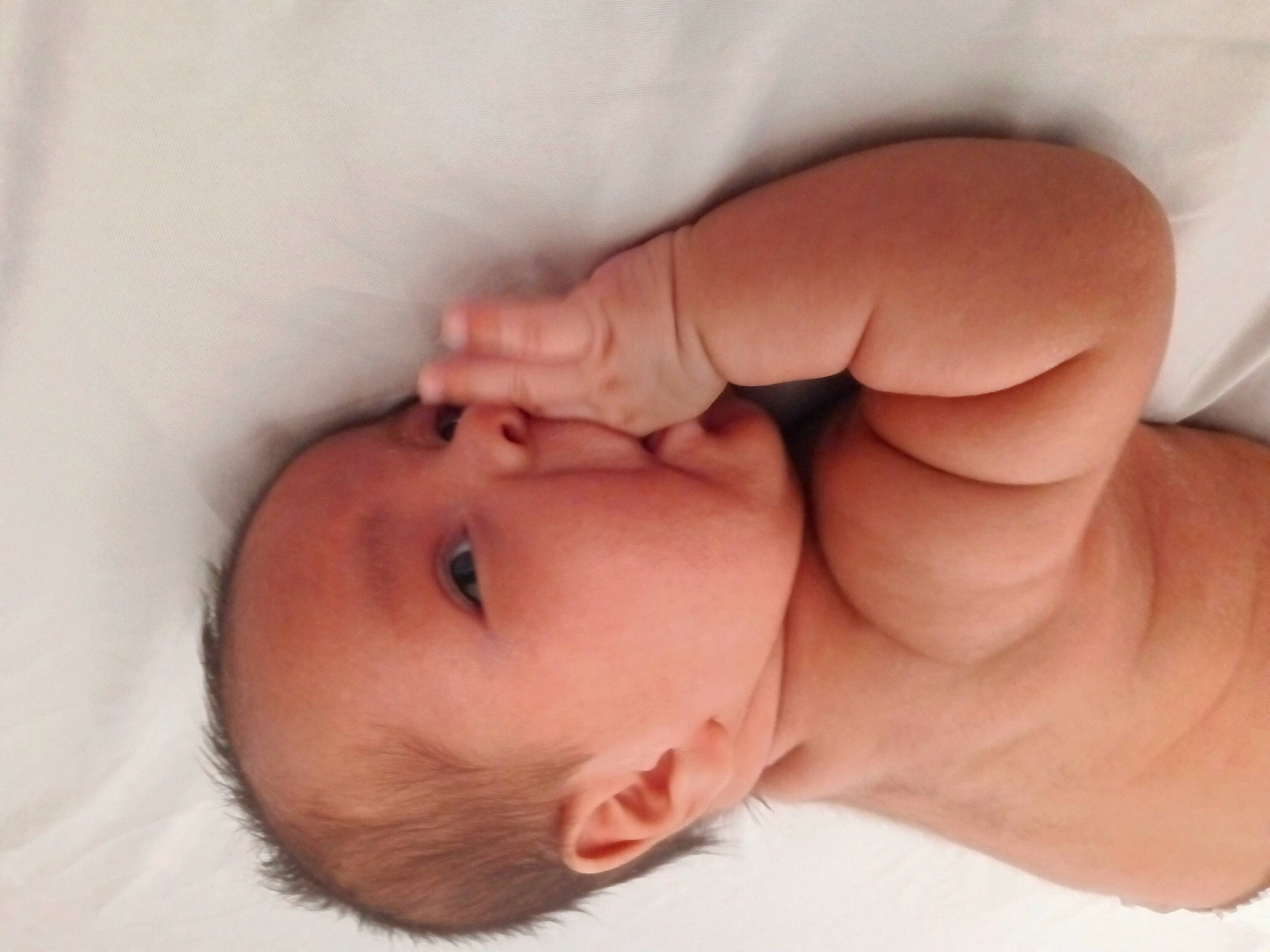 Jethro is registered to the contest to win money with this photo: baby, baby_toddler_clothing, cheek, chest, child, comfort, eyebrow, eyelash, finger, flesh, gesture, hand, iris, lip, mouth, nail, nose, person, skin, thumb