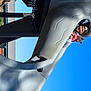 Lola is registered to the contest to win money with this photo: adventure, air_sports, azure, carmine, composite_material, elbow, electric_blue, extreme_sport, fun, leisure, recreation, sky, slope, smile, symmetry, wing