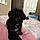 Milo Cason Oliver