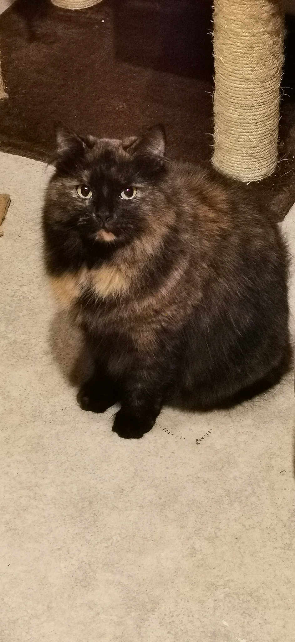 Tsiky