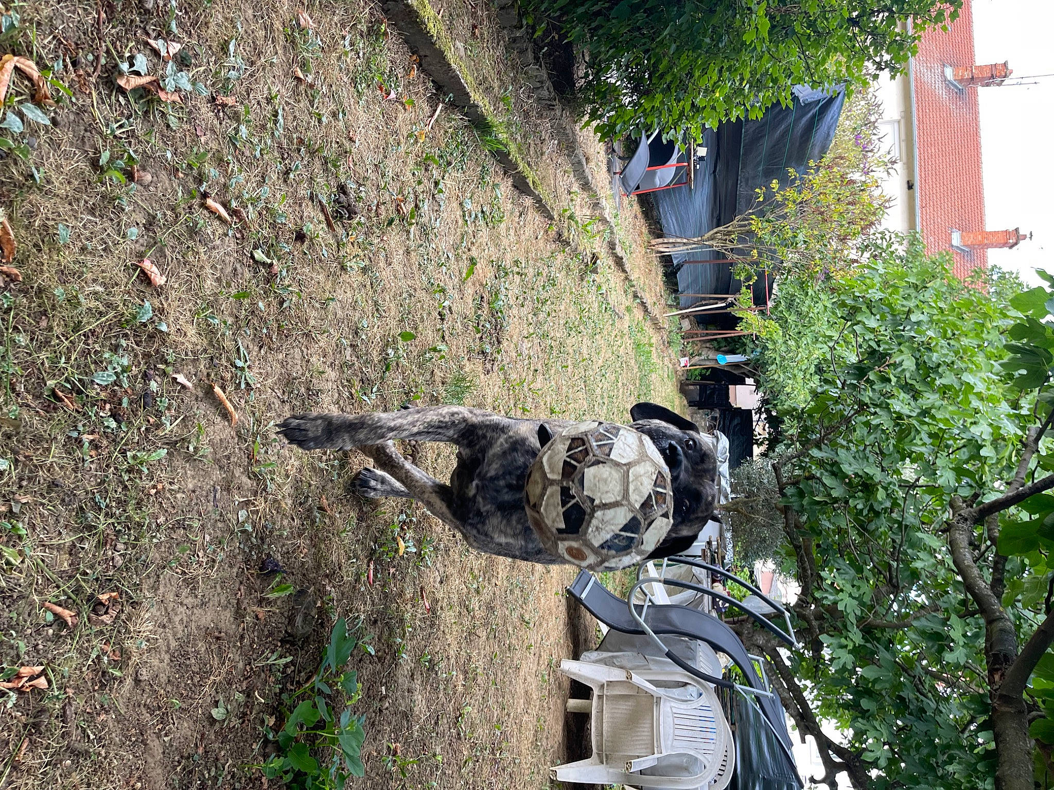 Meïko a rejoint le concours — aidez-le/la à gagner de superbes lots ! adventure, boot, branch, camouflage, extreme_sport, grass, infantry, military_camouflage, military_organization, outdoor_recreation, personal_protective_equipment, plant, recreation, rock_climbing_equipment, rope, shrub, soil, tree, trunk, twig