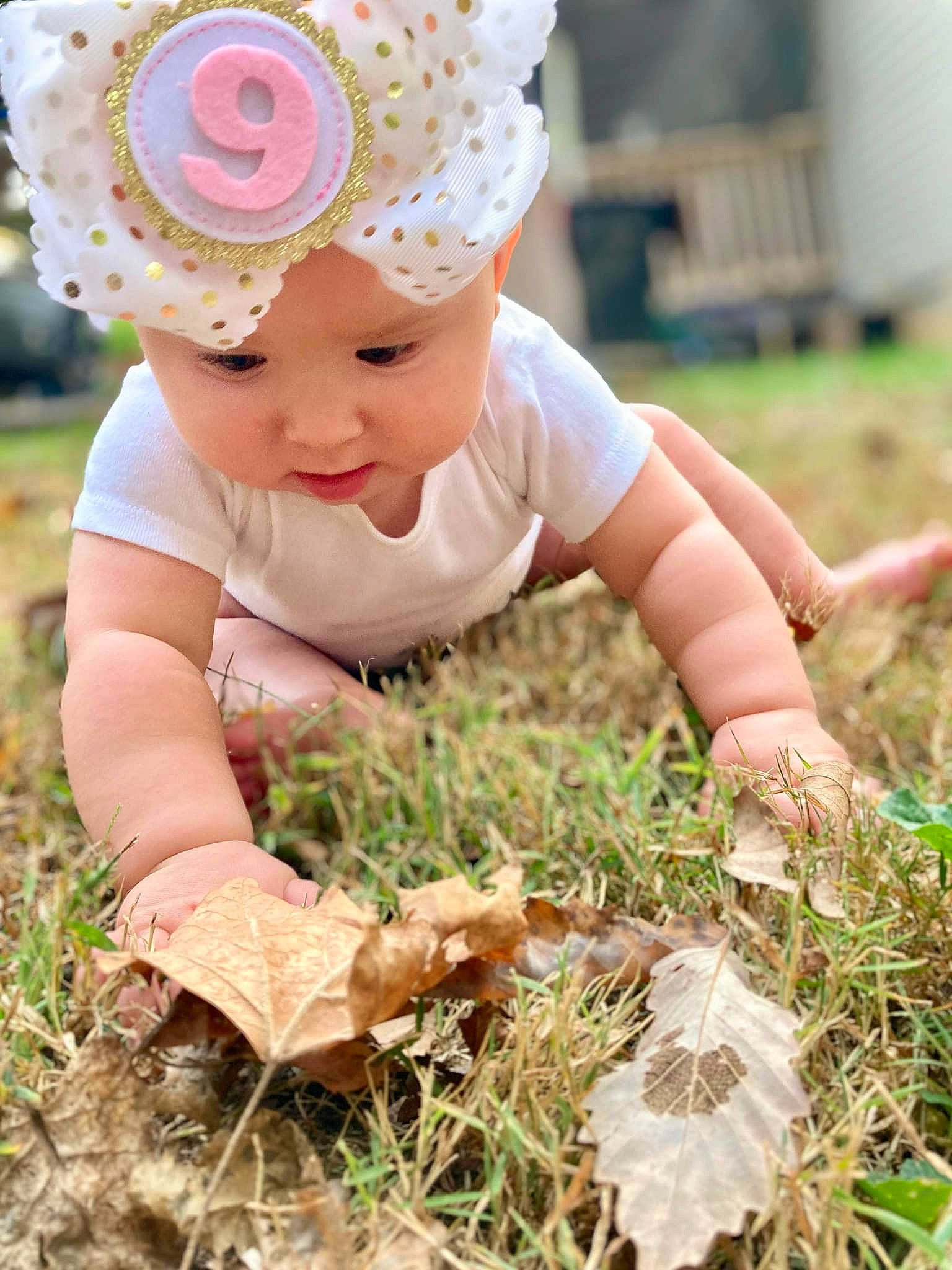 Pheonix joined the competition — help win amazing prizes! baby, baby_toddler_clothing, cap, child, fashion_accessory, fun, grass, hair_accessory, happy, hat, headband, headpiece, headwear, leaf, people_in_nature, person, plant, portrait_photography, sitting, soil