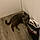 Pixel
