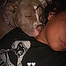 dog, person, sleeping, collar, indoor, closeup, resting, portrait, face, neck, piercing, black_shirt, graphic_tshirt, couch, pillow, relaxing, animal, pet, companion, warmth
