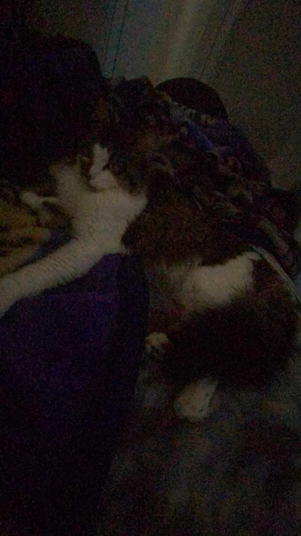 Mimi