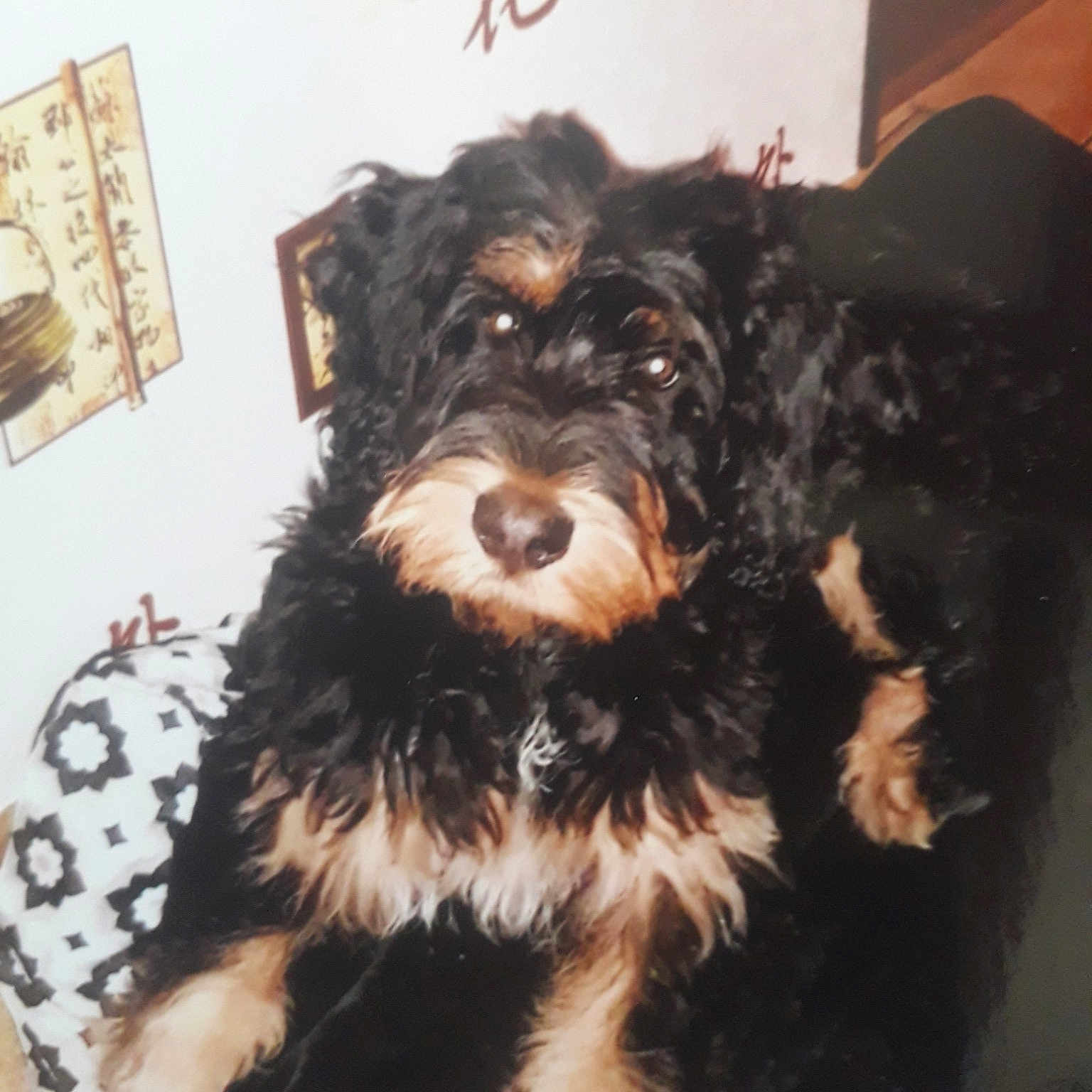 Ruby