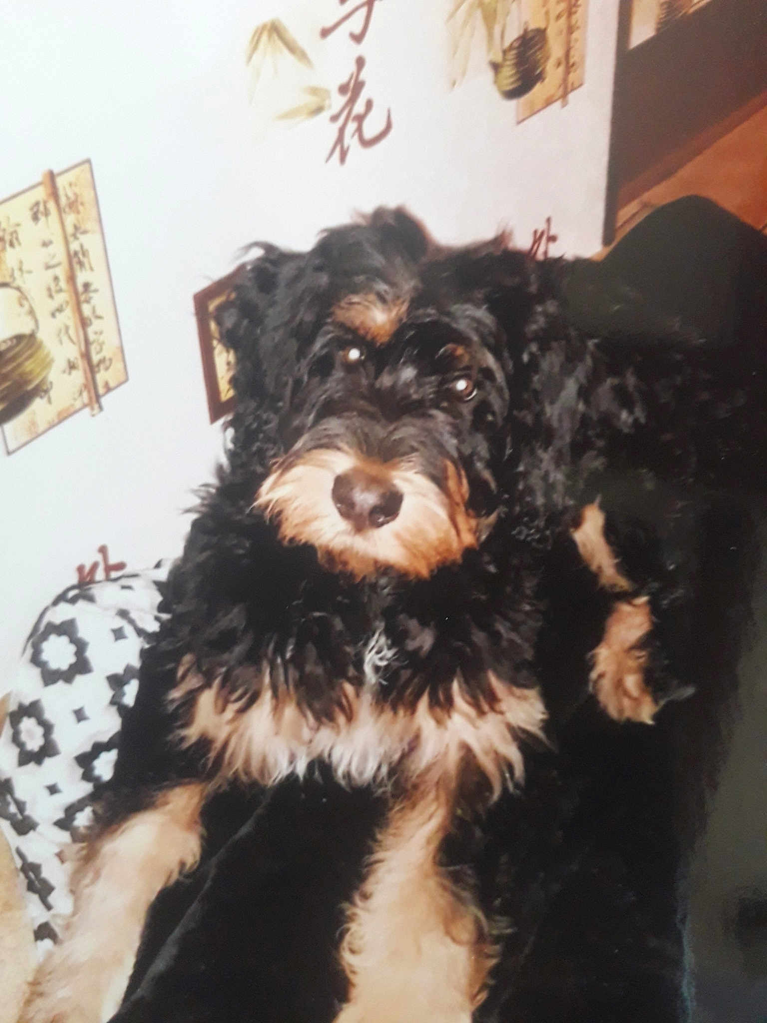 Ruby