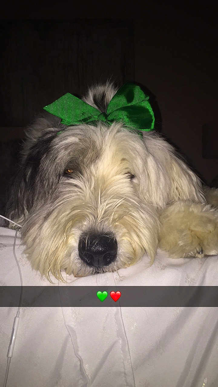 Lola