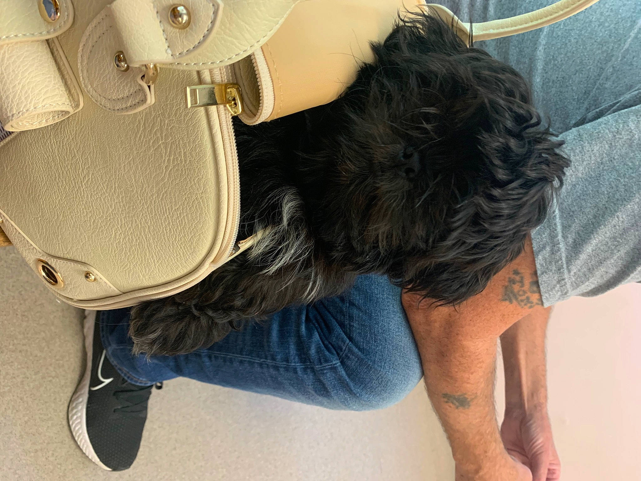 Malcolm joined the competition — help win amazing prizes! bag, bumper, calf, denim, elbow, eyewear, fashion, finger, human_leg, joint, knee, leg, luggage_and_bags, nail, sportswear, street_fashion, thigh, trunk, waist, wrist