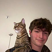 Gator joined the competition — help win amazing prizes! cat, tabby_cat, person, young_man, shoulder, indoor, smile, curly_hair, pet, animal, friendly, companion, relaxed, looking_away, casual_clothing, lamp, ceiling, bond, cute, portrait