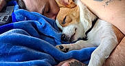 Bailey joined the competition — help win amazing prizes! dog, puppy, sleeping, human, person, cuddle, snuggling, blanket, blue_blanket, indoors, bed, cozy, resting, closed_eyes, pet, companion, tattoo, yin_yang, portrait, relaxed