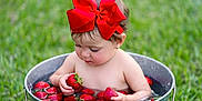 Ainhoa joined the competition — help win amazing prizes! child, baby, toddler, red_bow, strawberries, bucket, water, grass, outdoors, sitting, cute, portrait, face, hands, ear_piercing, bare_chest, metal_bucket, summer, closeup, play