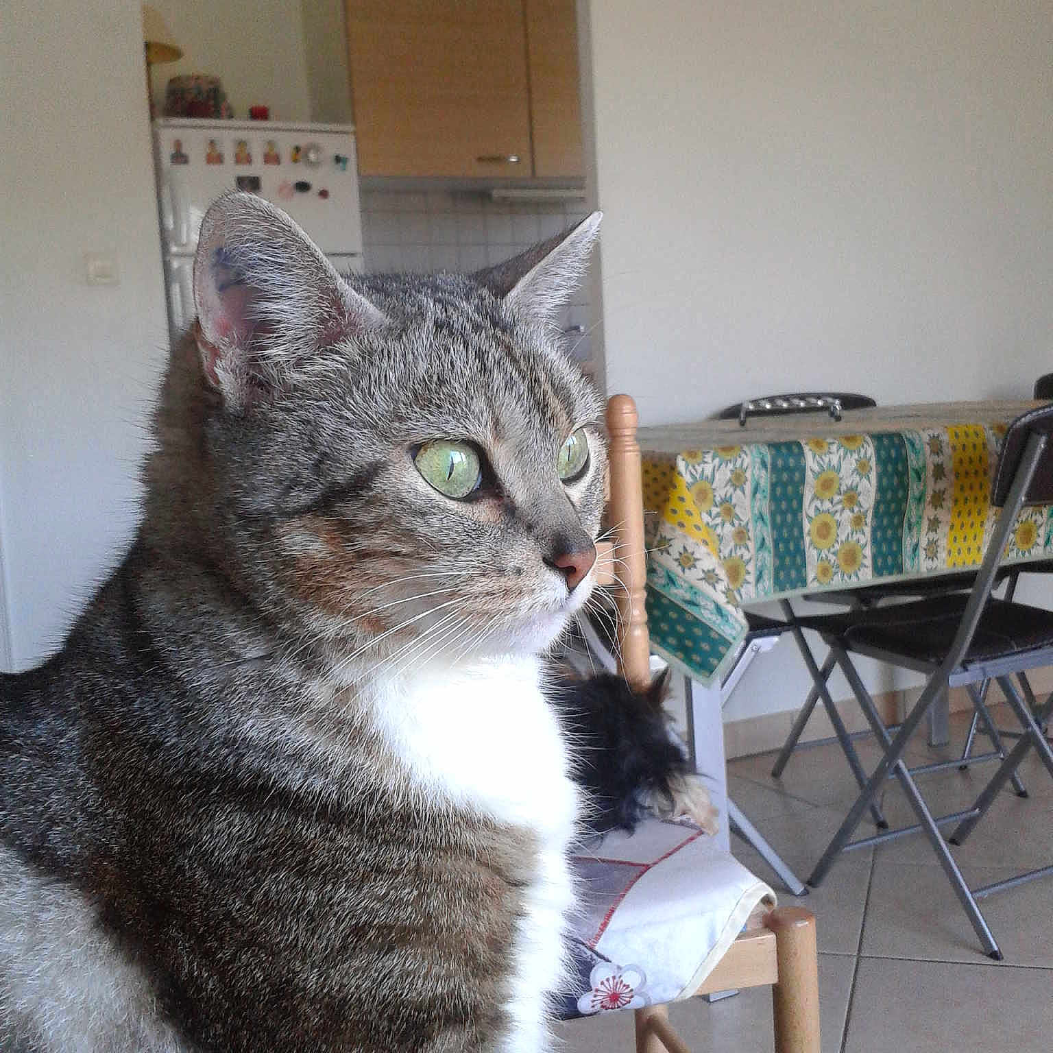 Lily