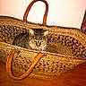 Khelya participe au concours pour gagner de l'argent avec cette photo :