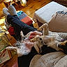 black_and_tan, blanket, casual, chair, comfort, cozy, dog, floor, furniture, hand, home, indoor, lap, paw, person, relaxing, resting, slippers, sunlight, tiled_floor