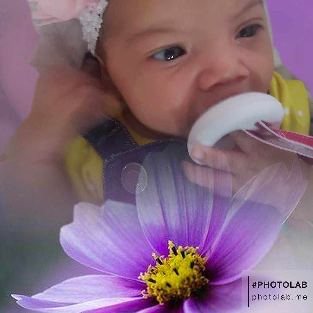 Lyric Vanhuss joined the competition — help win amazing prizes! baby, baby_toddler_clothing, beauty, cap, face, flash_photography, flower, happy, headband, iris, people_in_nature, petal, photograph, pink, plant, purple, skin, toddler, white, yellow