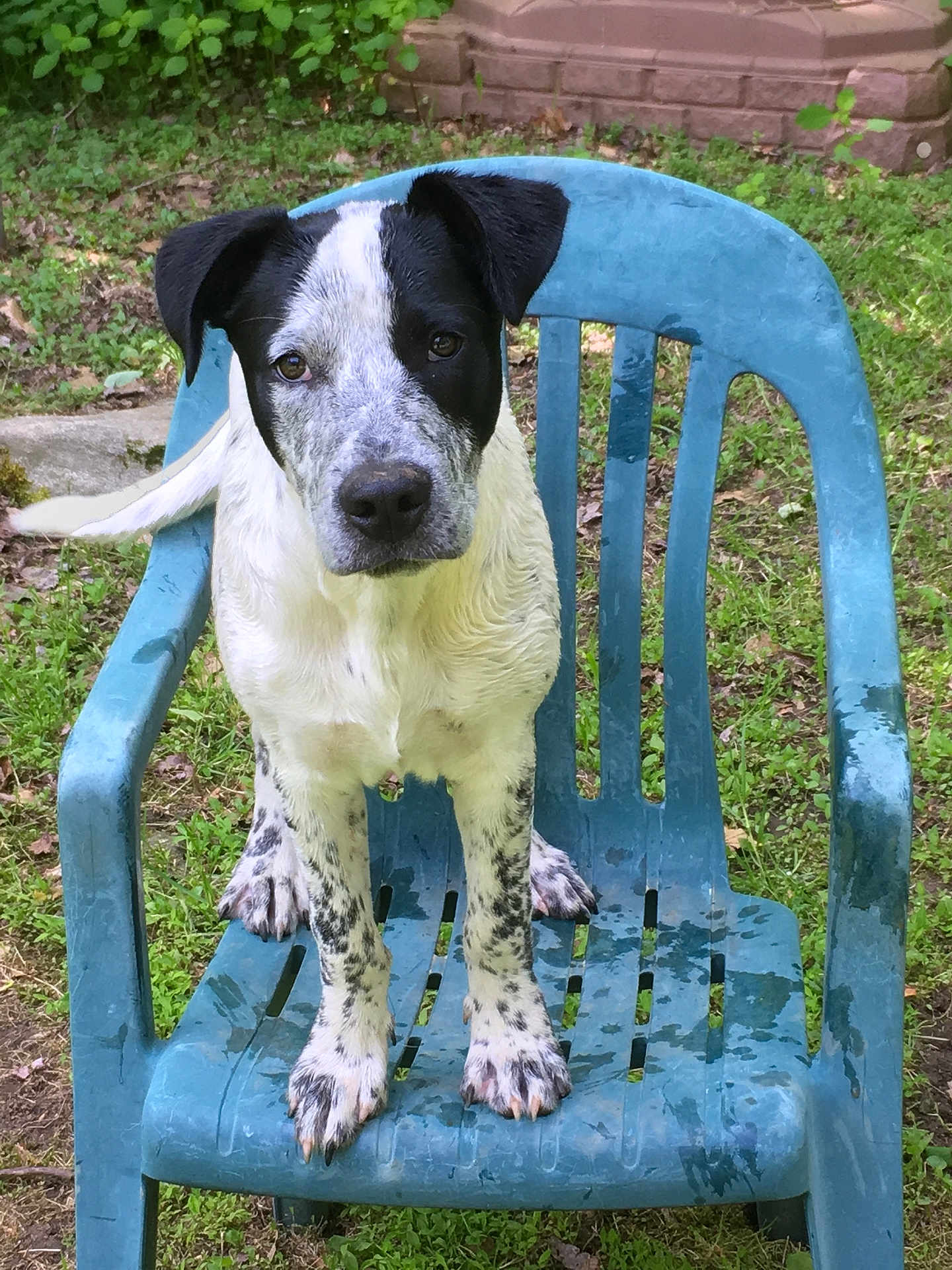 Roscoe P Coltrane