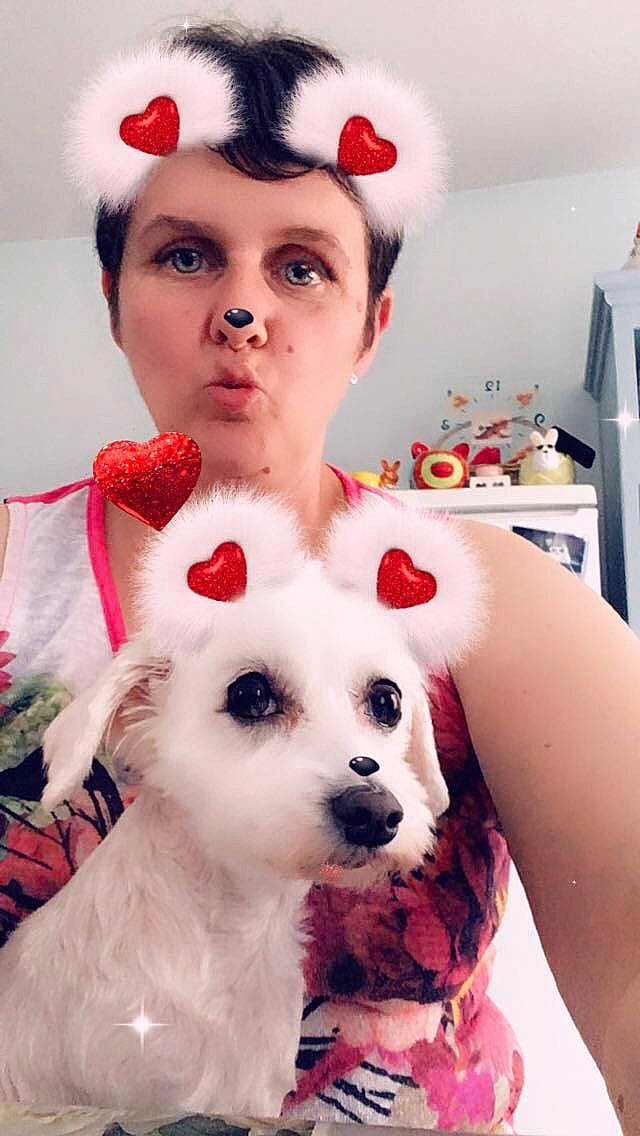 Mya participe au concours pour gagner de l'argent avec cette photo : canidae, carnivore, companion_dog, dog, dog_breed, ear, maltepoo, non_sporting_group, puppy_love, rare_breed_dog, toy_dog