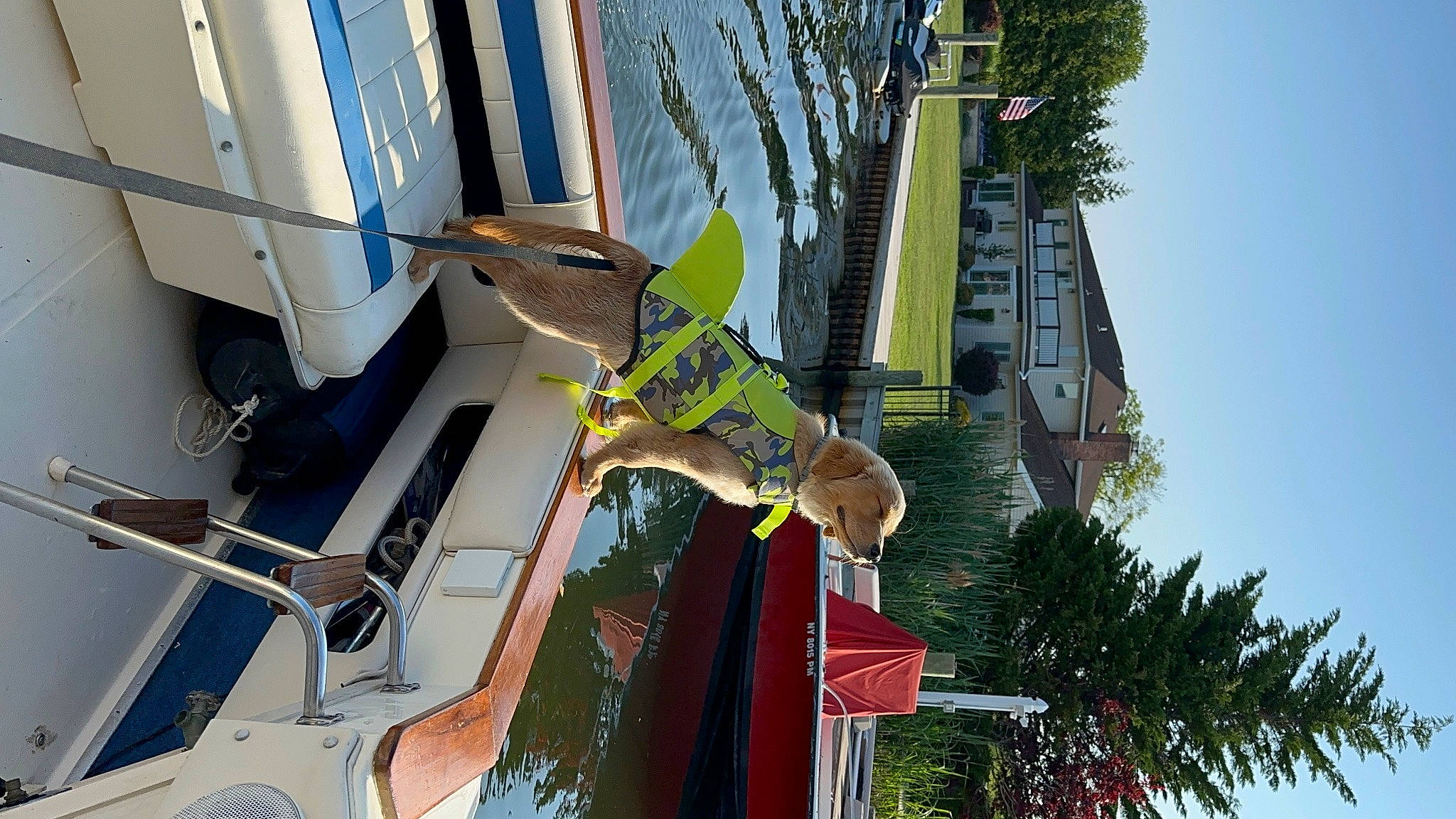 Hooper is registered to the contest to win money with this photo: arecales, building, city, facade, flag, fun, house, leisure, machine, mixed_use, palm_tree, pedestrian, plant, pole, sky, sunglasses, tree, vacation