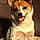 Roxy