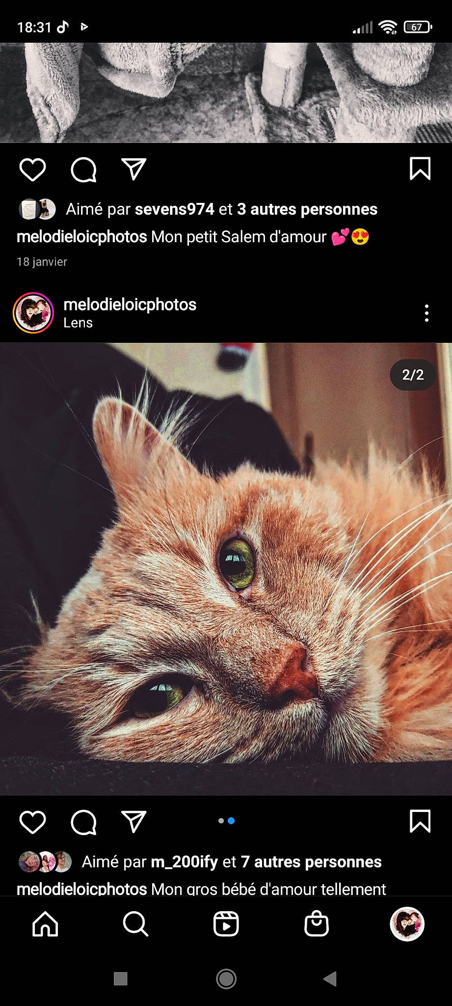 Pattenrond a rejoint le concours — aidez-le/la à gagner de superbes lots ! adaptation, art, beauty, carnivore, cat, design, felidae, font, fur, human, multimedia_software, organism, photo_caption, photograph, screenshot, small_to_medium_sized_cats, snapshot, snout, software, whiskers