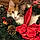Kitty Bland