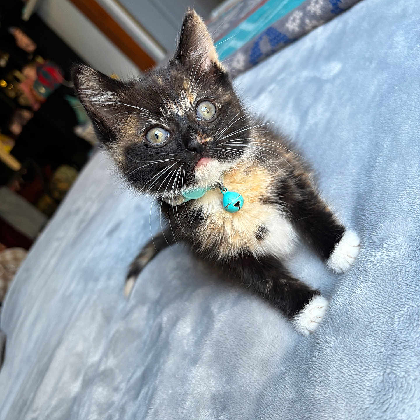 Calliope