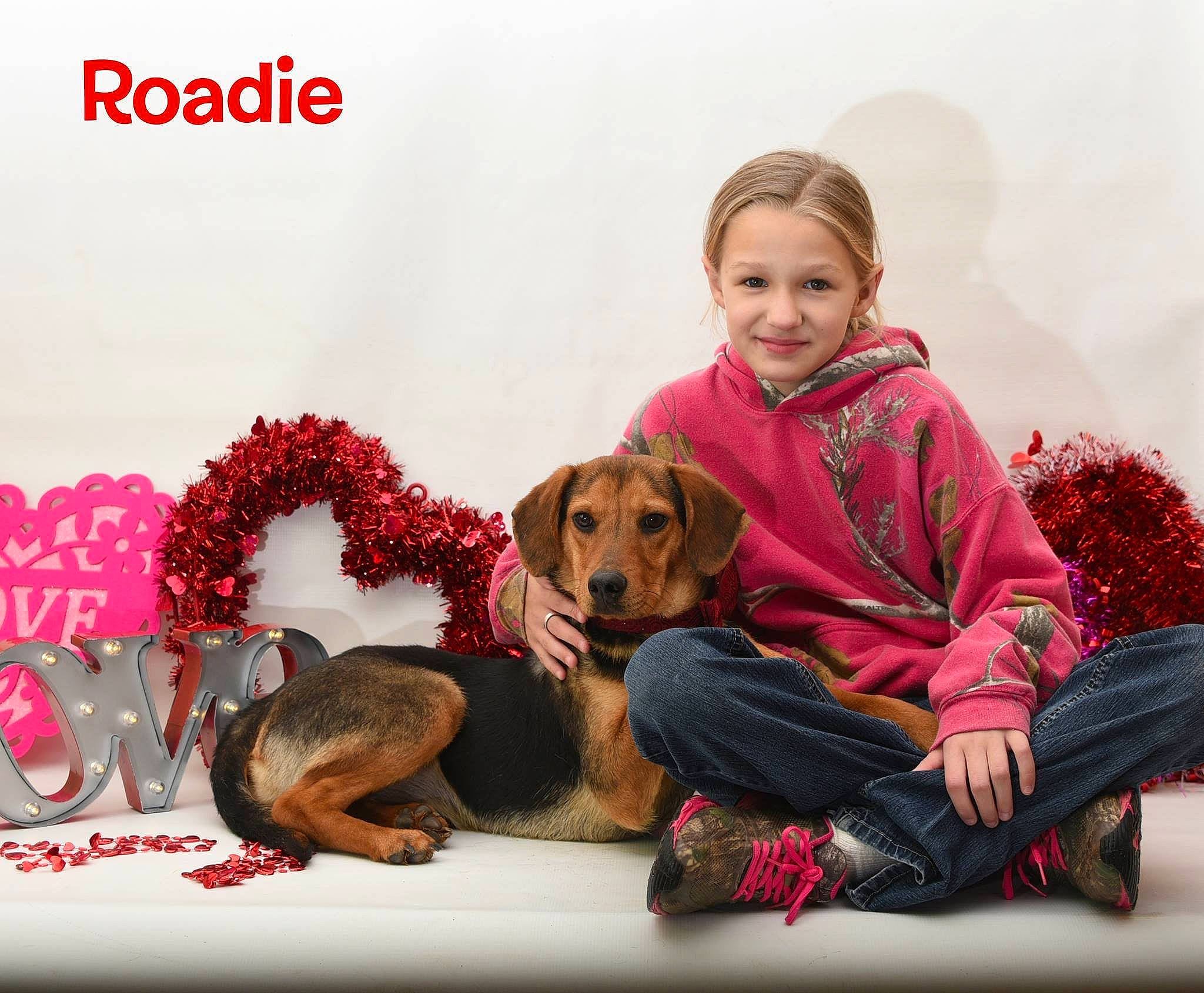 Roadie joined the competition — help win amazing prizes! canidae, carnivore, comfort, companion_dog, couch, dog, dog_breed, dog_supply, fawn, font, fur, happy, pattern, photo_caption, plaid, sitting, smile, sporting_group, toddler, toy