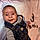Zaylen