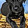 Xena