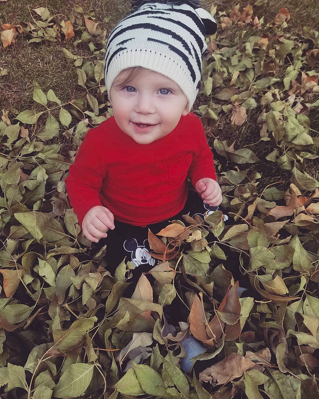 Nash joined the competition — help win amazing prizes! adaptation, autumn, baby, beanie, bonnet, cap, child, happy, headgear, headwear, leaf, person, plant, smile, toddler