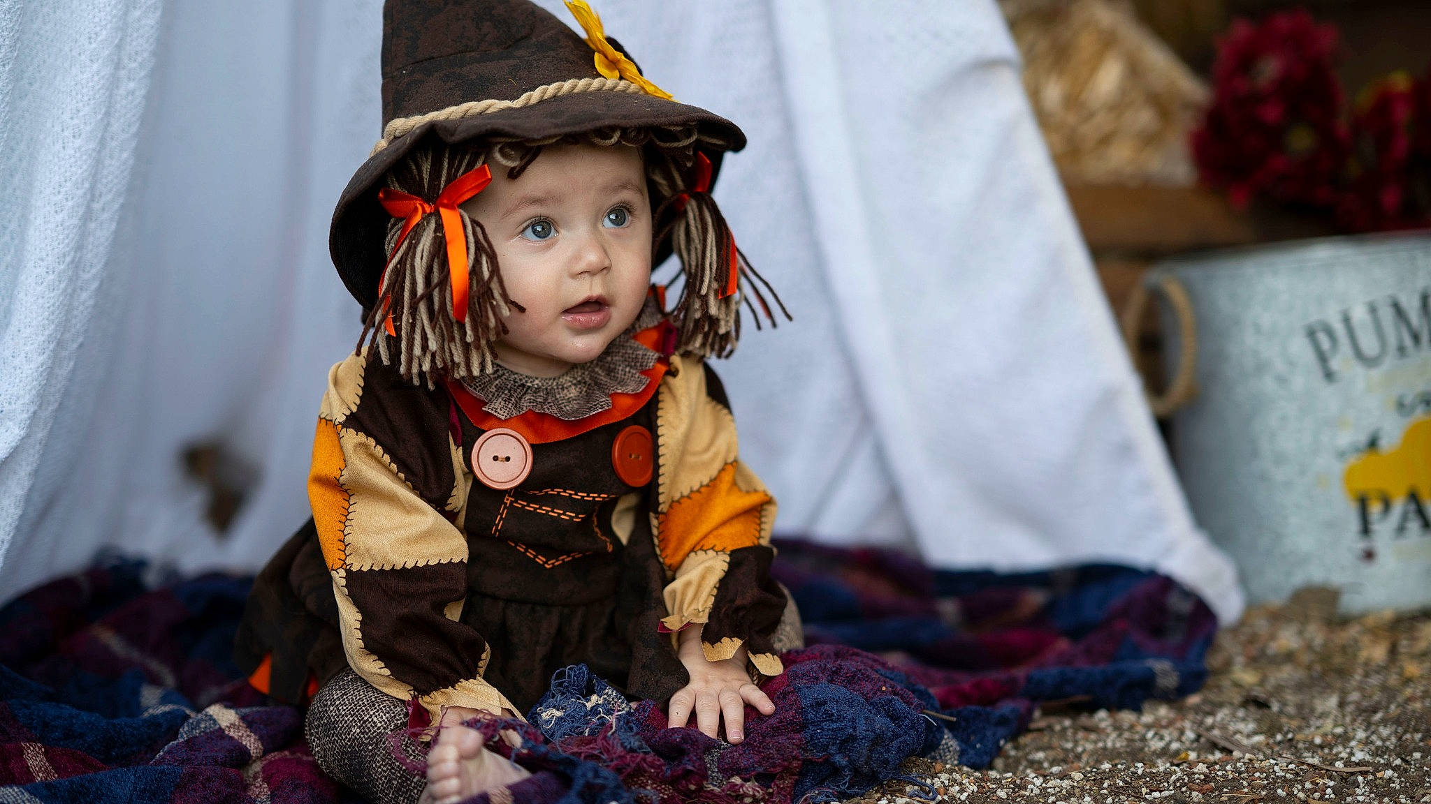 Maeleigh is registered to the contest to win money with this photo: baby, child, costume, curtain, event, facial_expression, fun, grass, hairstyle, happy, head, headgear, headwear, iris, person, pumpkin, sitting, surprise, toddler, tradition