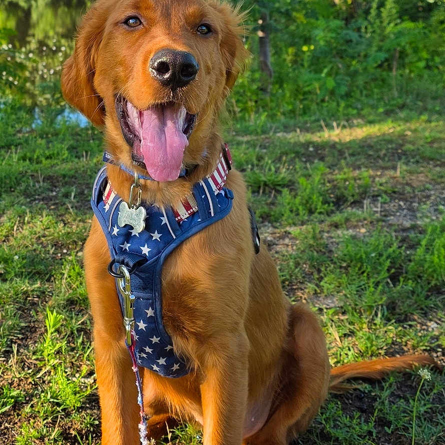 Flynn