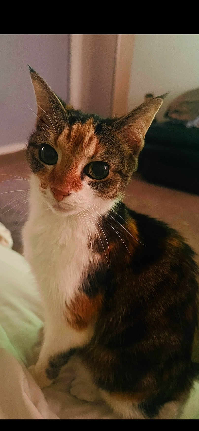 Ella