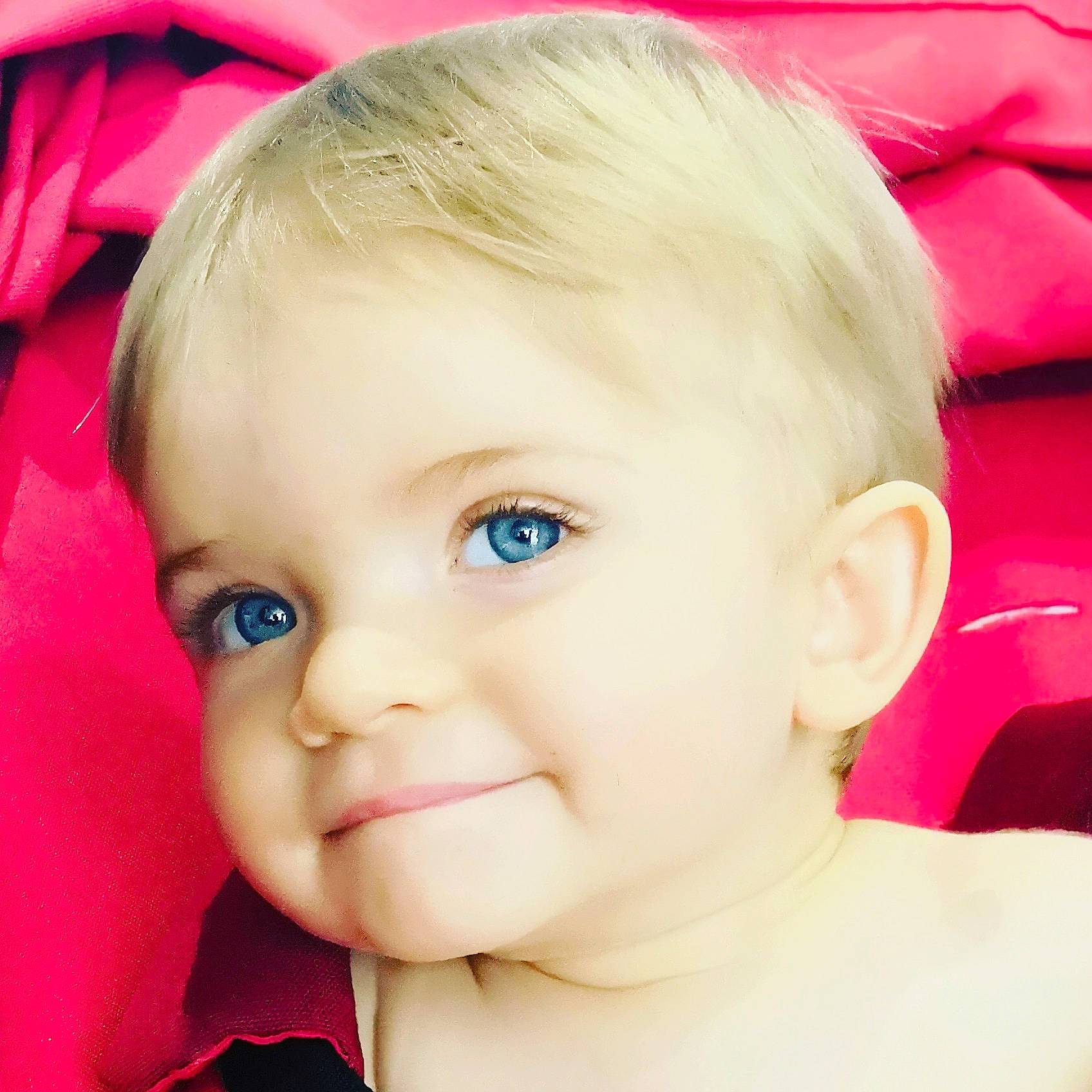 Lorenzo participe au concours pour gagner de l'argent avec cette photo : baby, beauty, blond, cheek, child, chin, close_up, ear, eye, eyebrow, face, forehead, hair, hairstyle, head, joy, lip, nose, person, pink