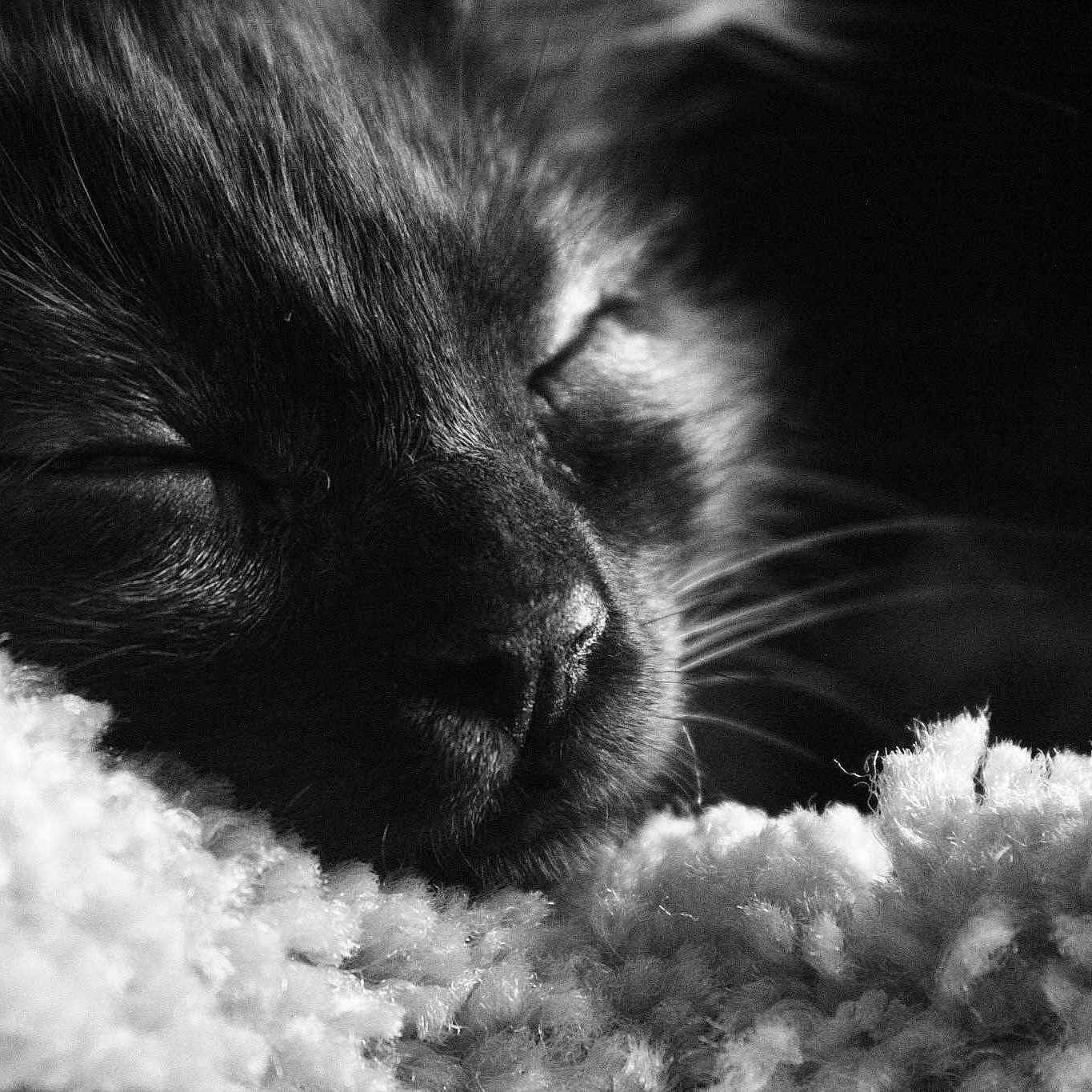 Blue joined the competition — help win amazing prizes!