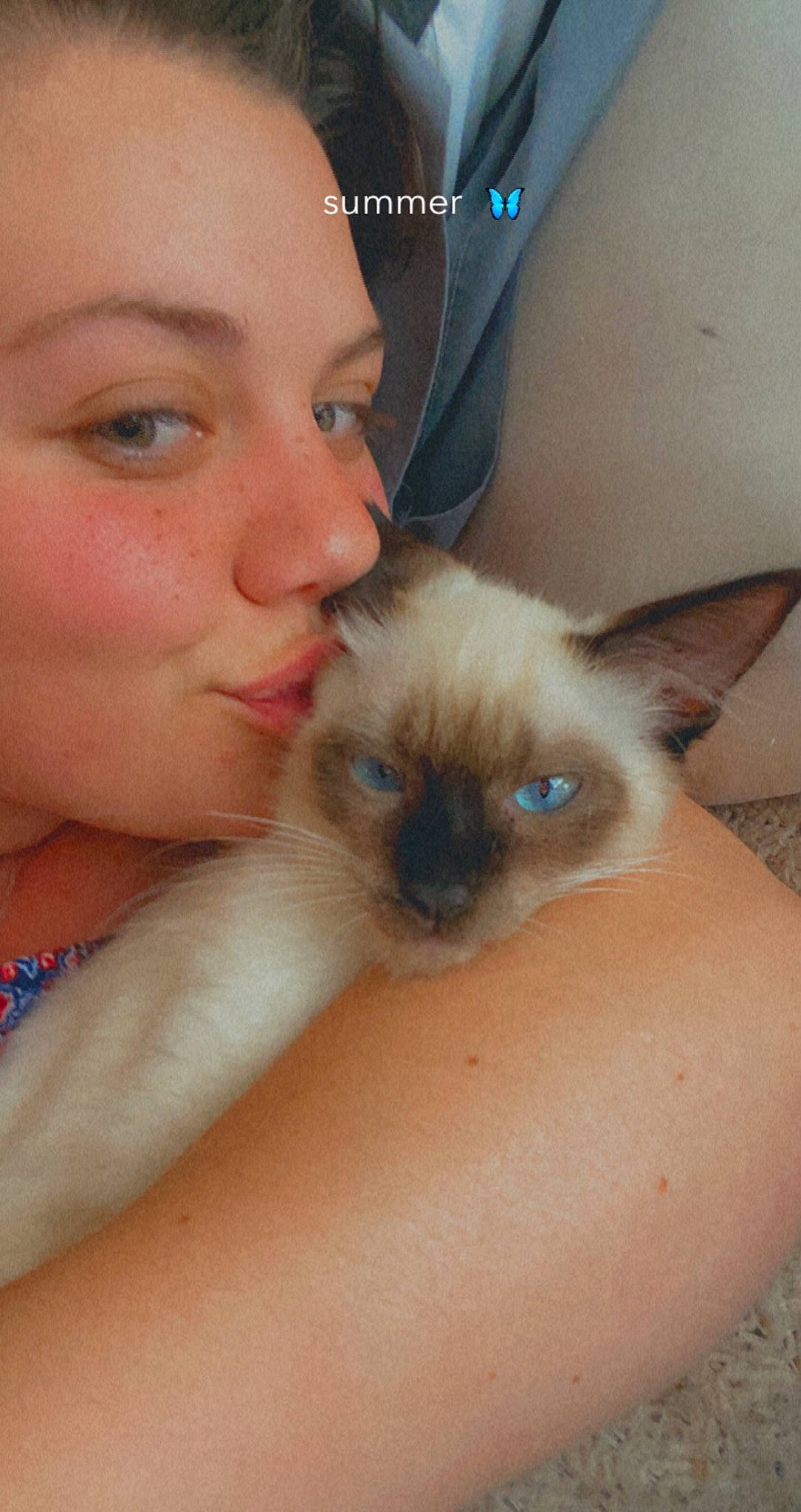 Jynx joined the competition — help win amazing prizes! balinese, birman, carnivore, cat, chest, eyelash, fawn, felidae, fur, siamese, small_to_medium_sized_cats, snout, thai, whiskers