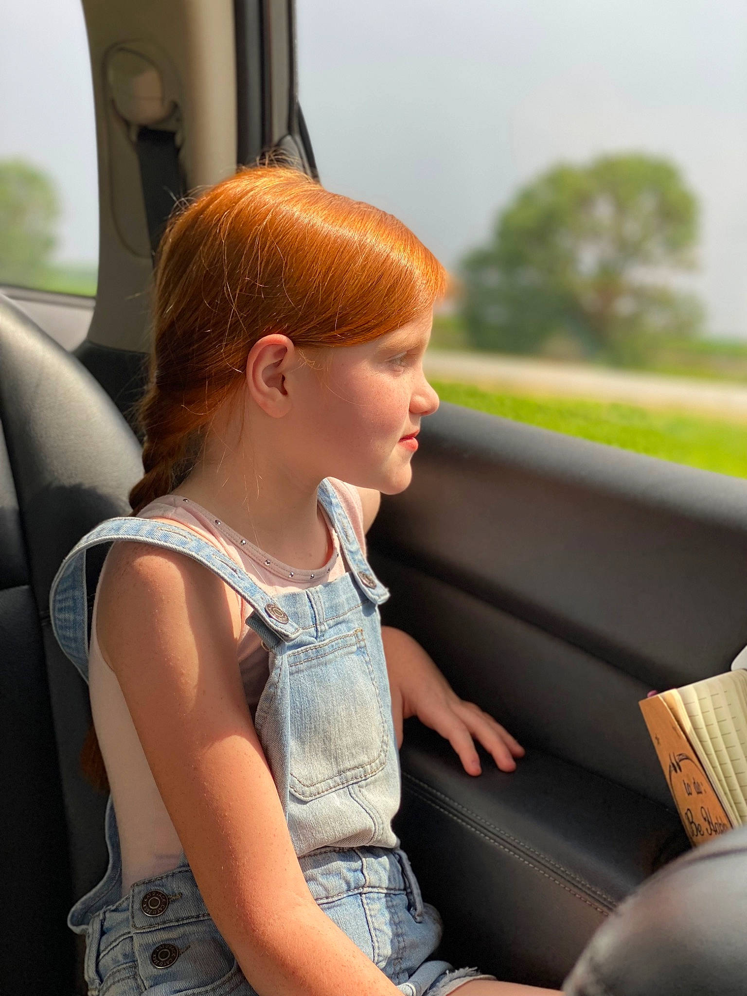 Skylar is registered to the contest to win money with this photo: auto_part, automotive_design, automotive_exterior, blond, brown_hair, car_seat, car_seat_cover, child, family_car, fun, happy, leisure, luxury_vehicle, motor_vehicle, person, sitting, sky, toddler, travel, tree
