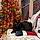 Salem