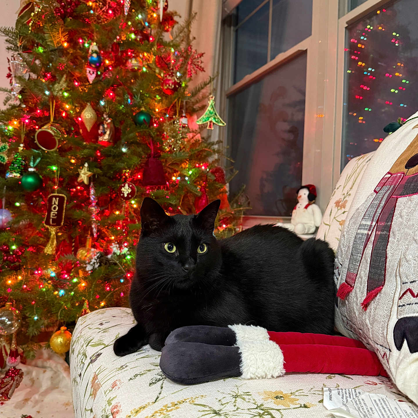Salem