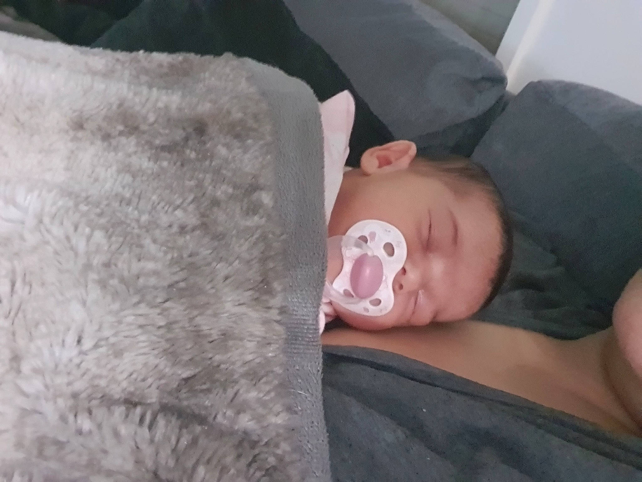 Savannah joined the competition — help win amazing prizes! baby, baby_toddler_clothing, bedding, cheek, child, comfort, couch, eyelash, fur, grey, linens, mammal, neck, nose, person, room, skin, sleeve, textile, toddler