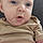 Noha