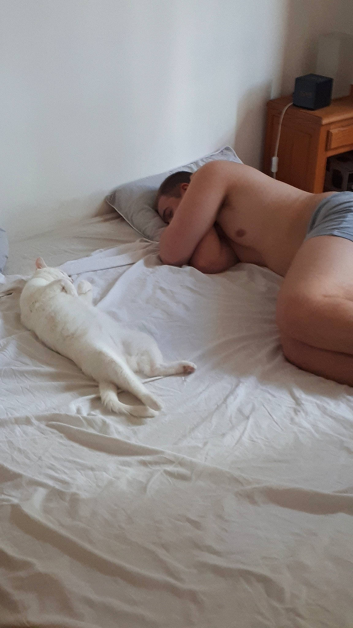 Snow participe au concours pour gagner de l'argent avec cette photo : bed, bed_sheet, bedding, bedroom, comfort, furniture, leg, linens, mattress, pillow, room, textile