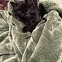 kitten, black_cat, blanket, cozy, fur, pet, sleepy, indoor, soft_texture, green_blanket, animal, cute, domestic_cat, resting, feline, close_up, comfort, warm, snuggled, young_cat
