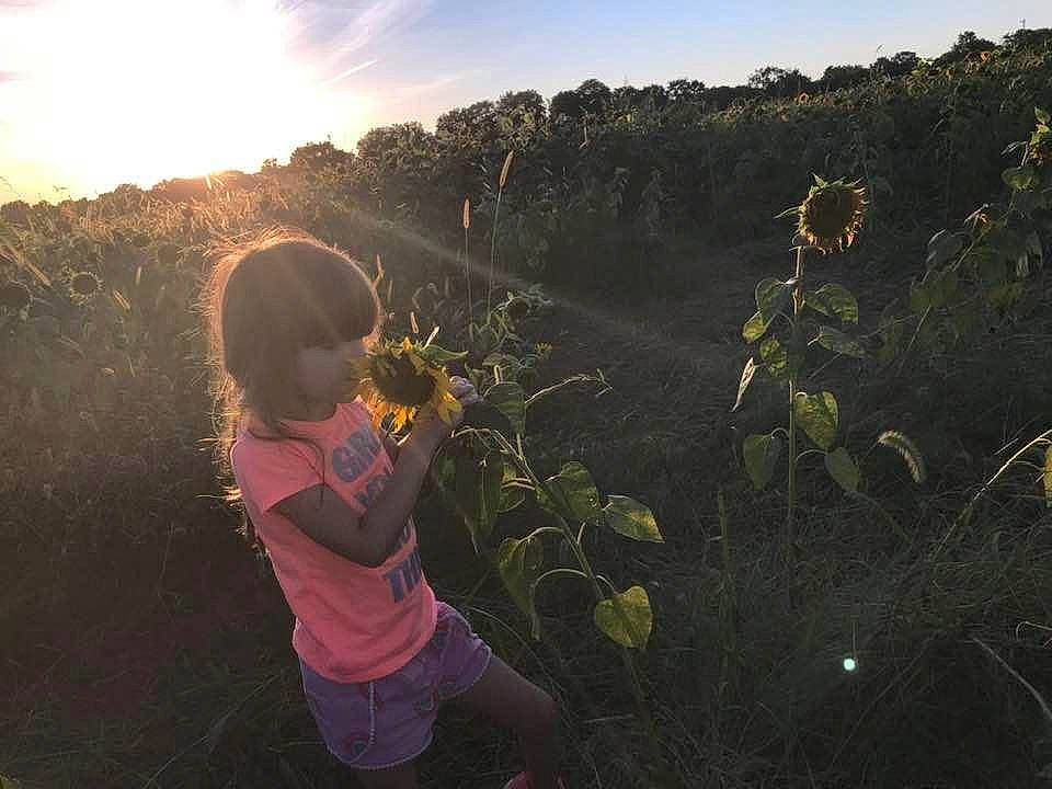 Haylee joined the competition — help win amazing prizes! backlighting, child, cloud, grass, happy, landscape, leaf, lens_flare, light, morning, mountain, people_in_nature, person, photography, plant, sky, summer, sunlight, tree, wilderness