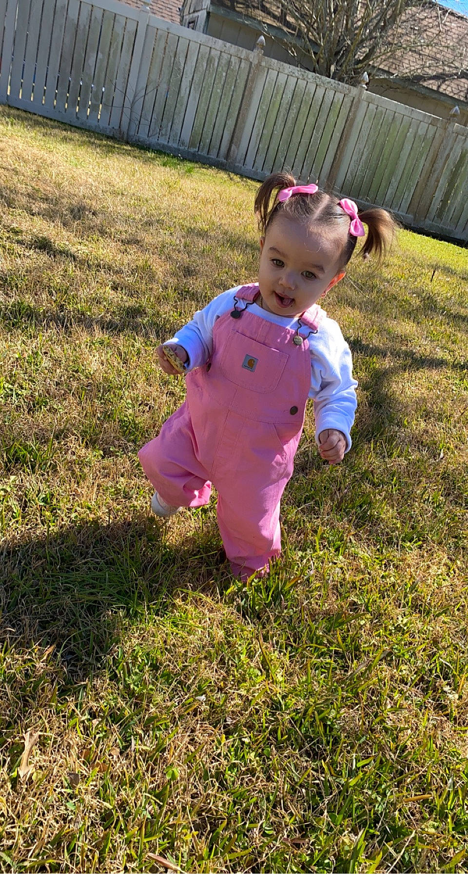 Alannah joined the competition — help win amazing prizes! baby, baby_toddler_clothing, child, fence, garden, grass, grass_family, grassland, happy, head, lawn, leisure, meadow, people_in_nature, person, plant, recreation, sitting, smile, soil