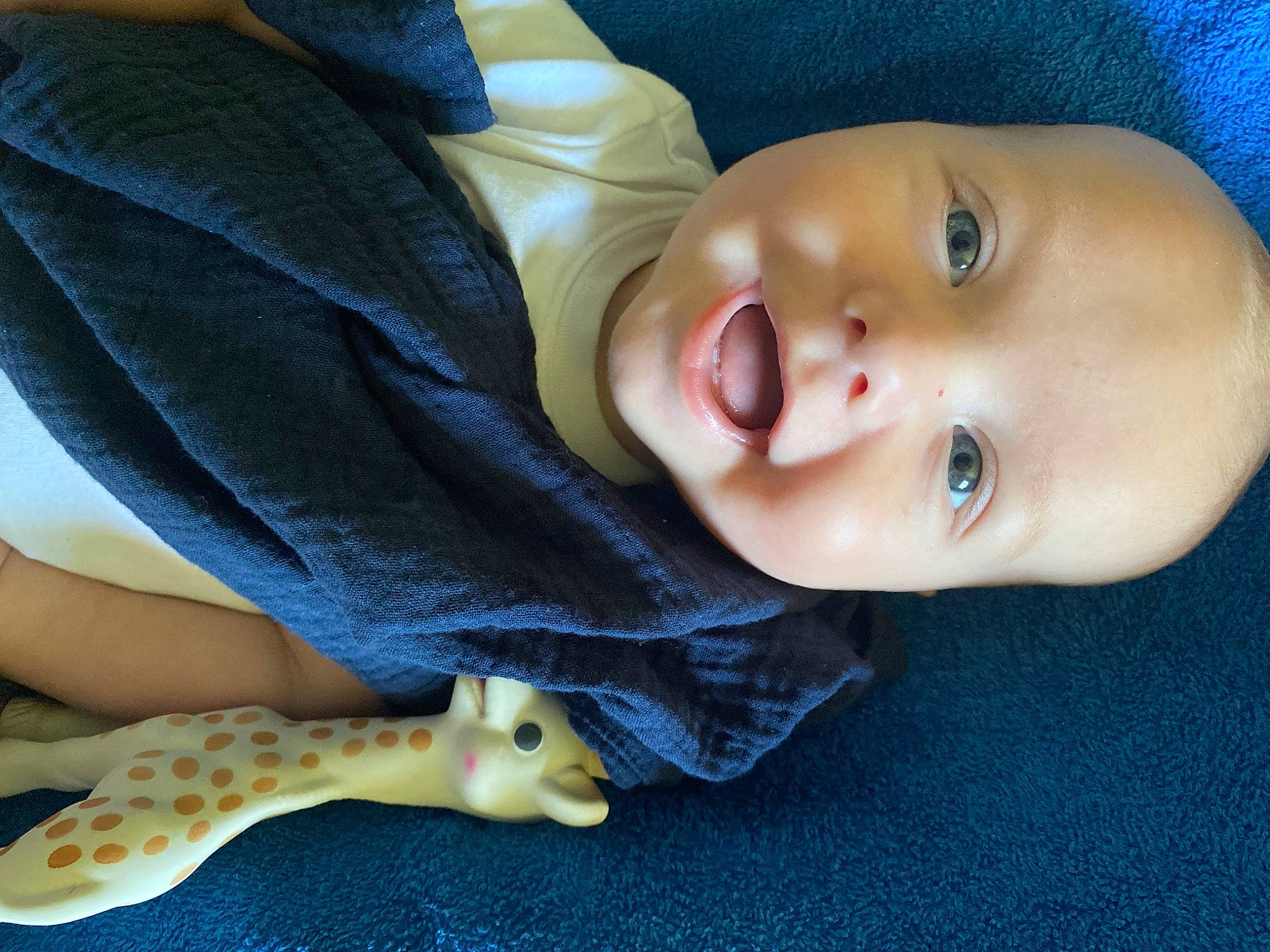 Maxence participe au concours pour gagner de l'argent avec cette photo : baby, baby_toddler_clothing, cheek, child, comfort, felidae, finger, headgear, human_body, iris, lip, mammal, nose, person, reptile, skin, smile, textile, toddler, toy