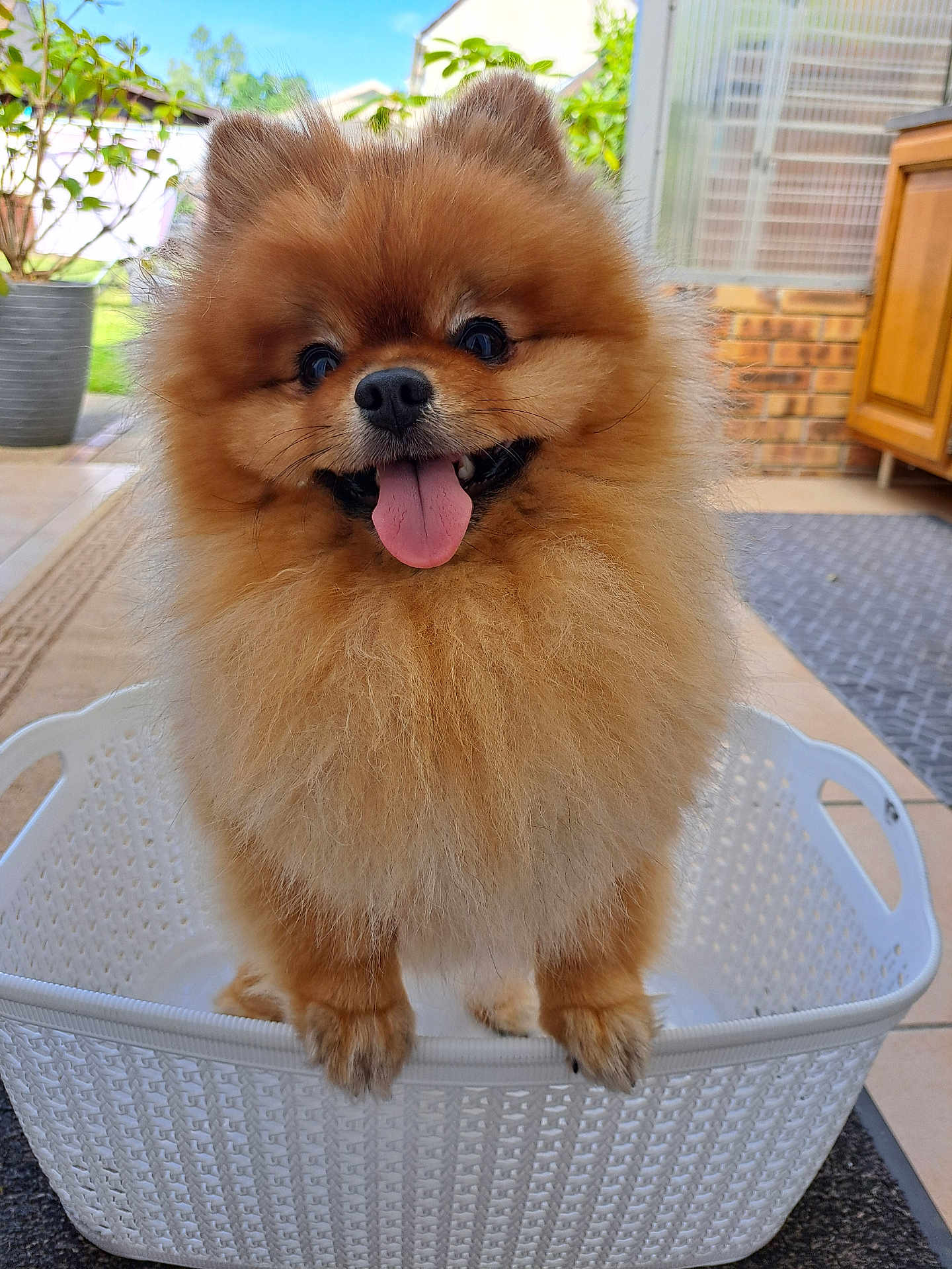 Kion