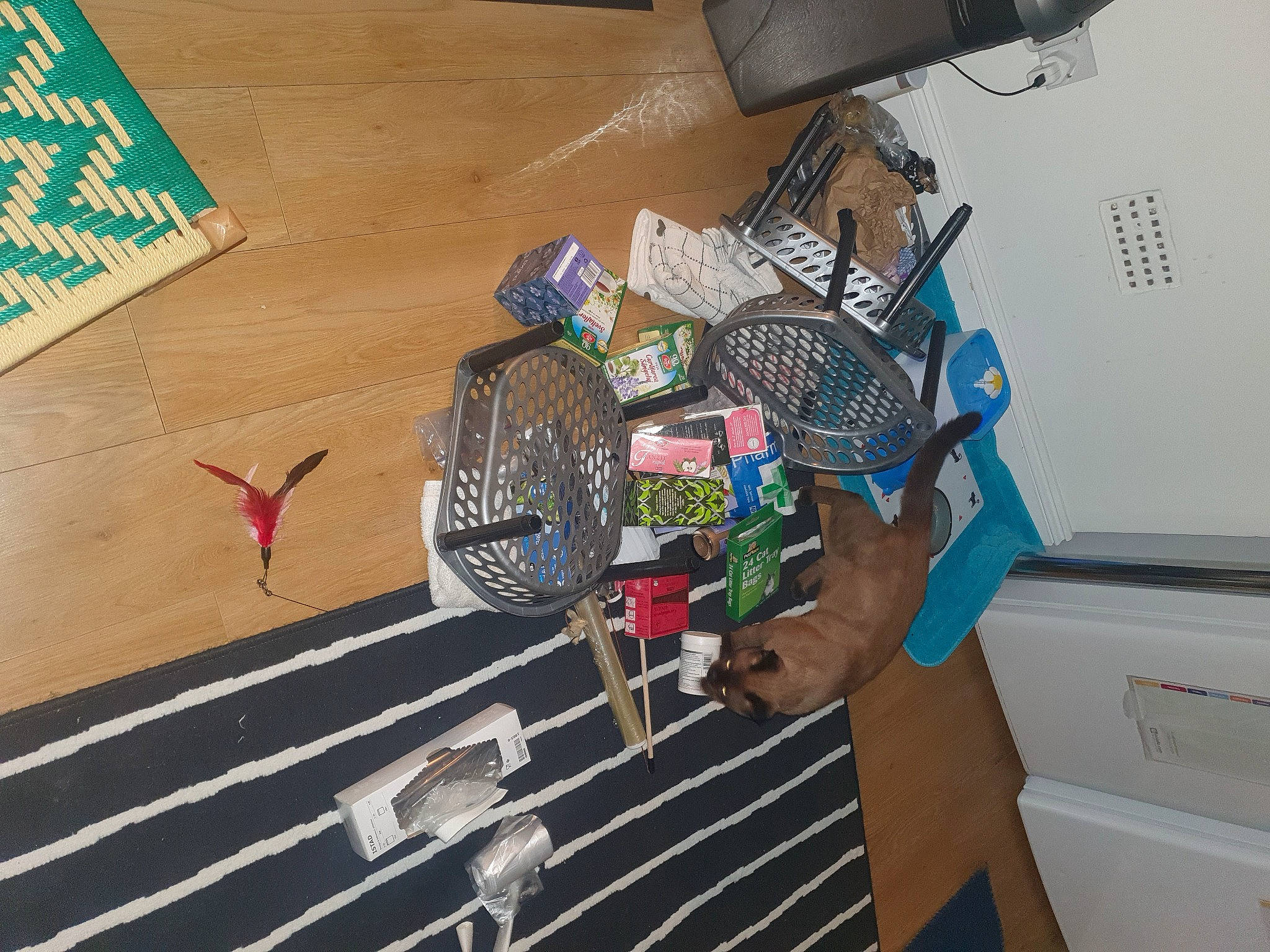 Thor joined the competition — help win amazing prizes! cable, circuit_prototyping, computer_component, computer_hardware, electrical_network, electrical_supply, electrical_wiring, electronic_component, flooring, font, hardwood, machine, plastic, plywood, room, table, triangle, wire, wood, wood_stain