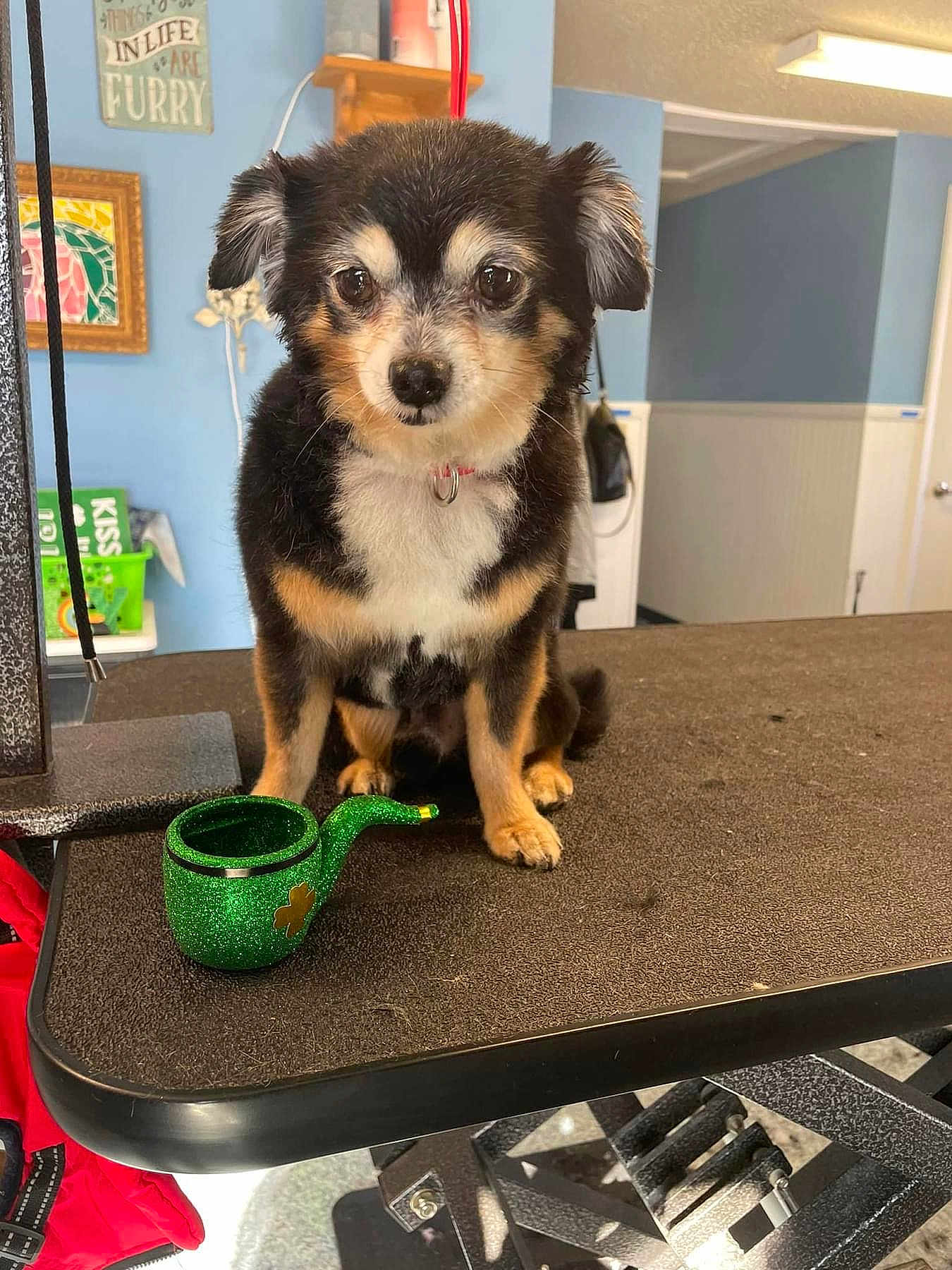 Bandit
